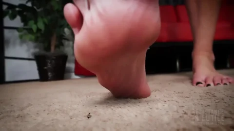 Bratty Foot Girls Mikayla Miles Resistance is Futile SFX