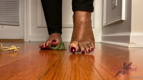 Fairy Feet – Giantess Soldier Crush