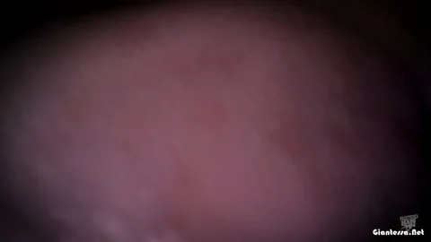 Rated Raw – Janes Side Job small Made with Clipchamp