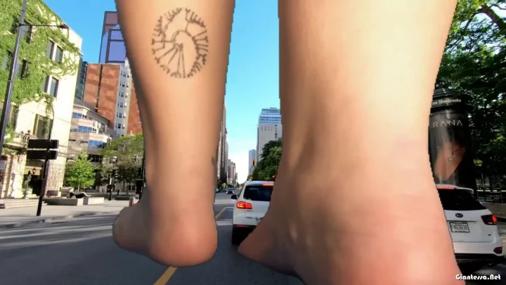 Sasha Curves – Overgrown