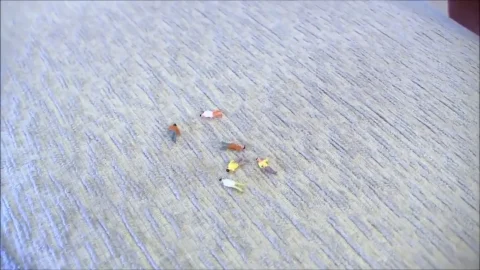 The Tiny Neighbors
