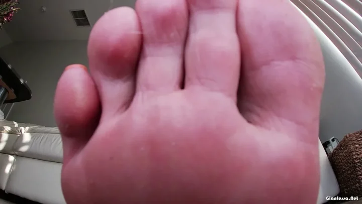 Ivory Soles – Giantess Ivorys Foggy Flats JOI