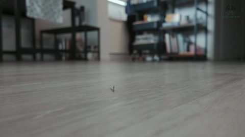 Micro Me GTS – Lost FX Part 2