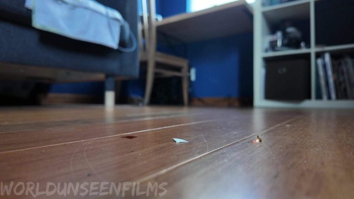 WorldUnseenFilms – Babysitter Blues Ending A