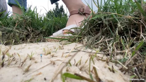WorldUnseenFilms – Backyard Bonanza