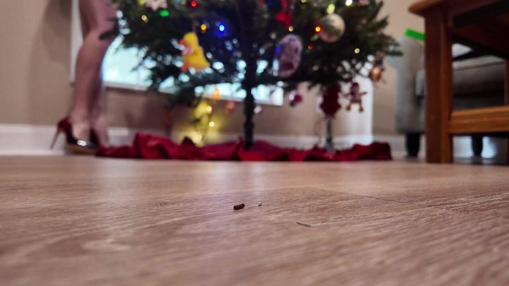 WorldUnseenFilms – Christmas Time Is Here
