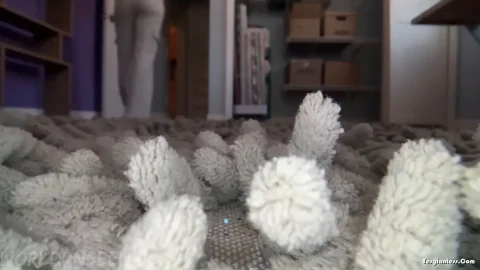 WorldUnseenFilms – Cozy on the Rug