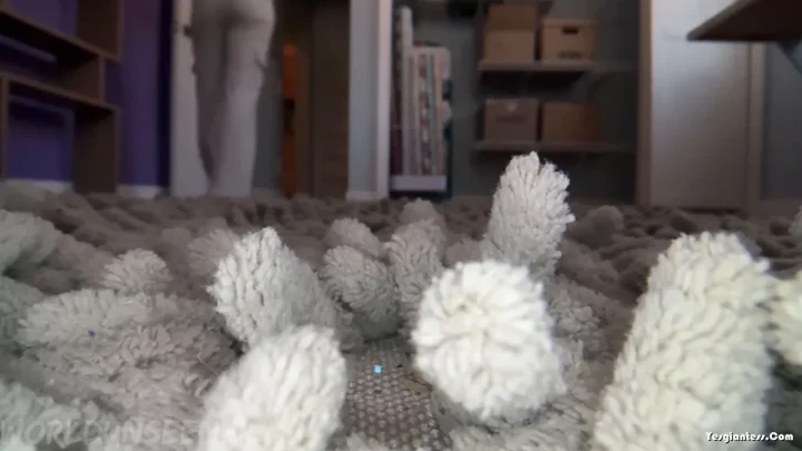 WorldUnseenFilms – Cozy on the Rug