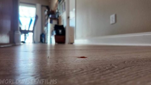 WorldUnseenFilms – Double Crush