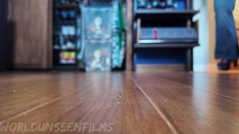 WorldUnseenFilms – Flattened
