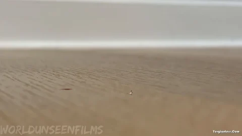 WorldUnseenFilms – Flip Flop Fail