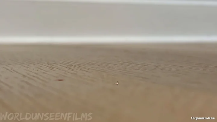 WorldUnseenFilms – Flip Flop Fail