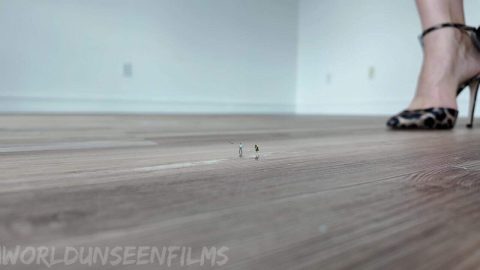WorldUnseenFilms – Hardwood Tinies