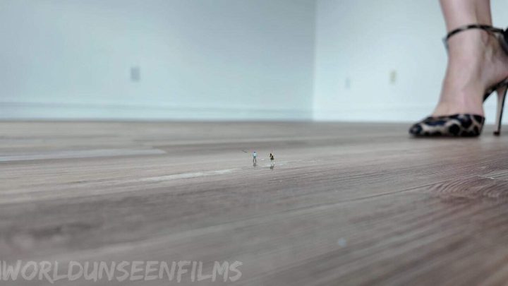 WorldUnseenFilms – Hardwood Tinies