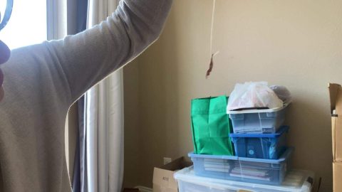 WorldUnseenFilms – Kate Vore