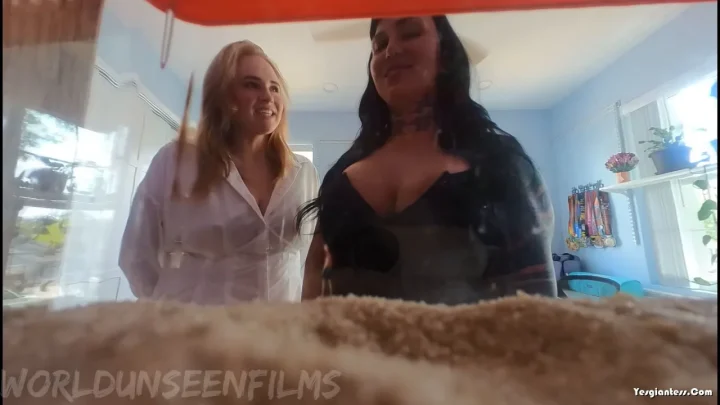 WorldUnseenFilms – Kats Pet