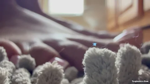 WorldUnseenFilms – Lost in the Rug