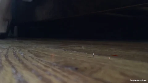 WorldUnseenFilms – Lyras First Clip REMASTERED