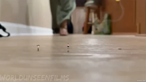 WorldUnseenFilms – Lyras Steps