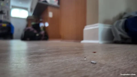 WorldUnseenFilms – Lyric and Kat BCM 2 SHORT
