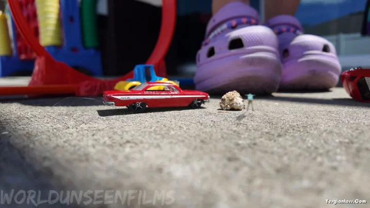 WorldUnseenFilms – Monicas Brother