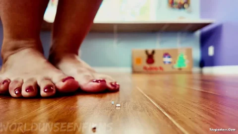 WorldUnseenFilms – No New Pets