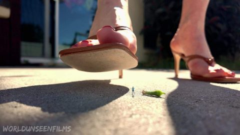 WorldUnseenFilms – Scarletts Conversation
