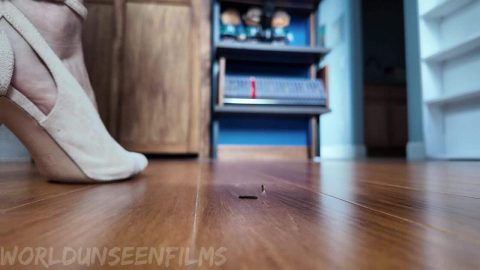 WorldUnseenFilms – Shrunken Woman Under Woman