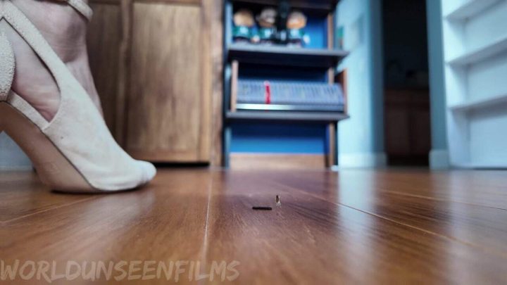 WorldUnseenFilms – Shrunken Woman Under Woman
