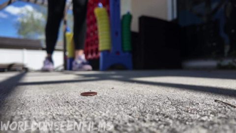 WorldUnseenFilms – Sneakers and Bugs