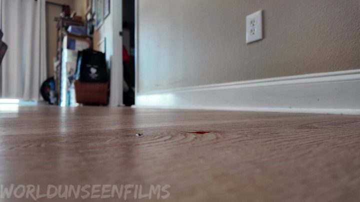 WorldUnseenFilms – Socks Rock Short