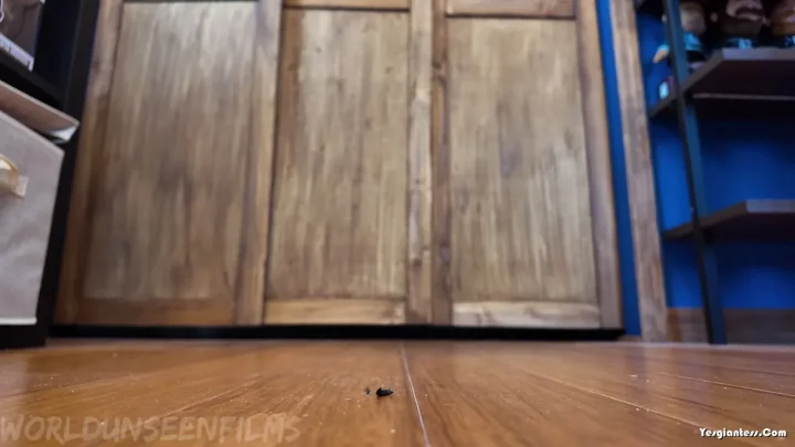 WorldUnseenFilms – Miscalculation 2