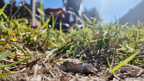 WorldUnseenFilms – The Backyard