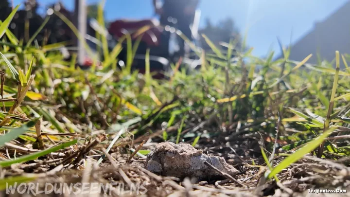 WorldUnseenFilms – The Backyard