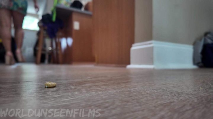 WorldUnseenFilms – The Cheerio on the Floor