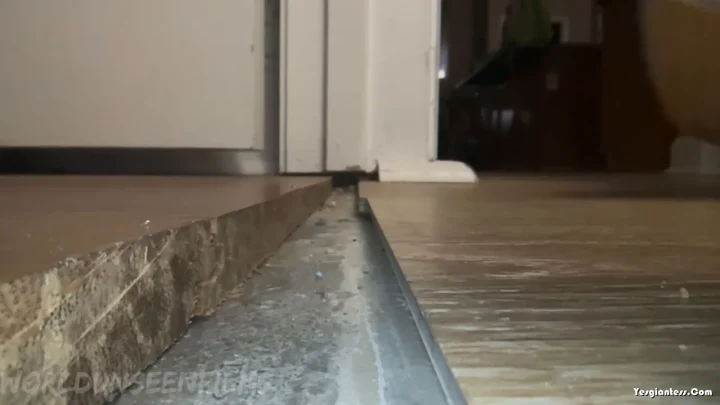 WorldUnseenFilms – The Crack in the Doorway