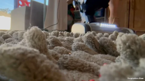 WorldUnseenFilms – The Rug Vacuum Scene Only