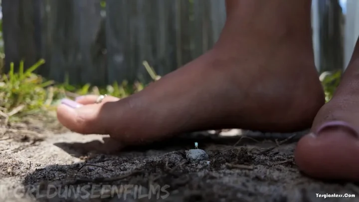 WorldUnseenFilms – The Yard