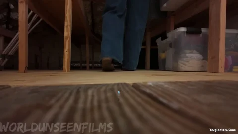 WorldUnseenFilms – Tiny in the Attic